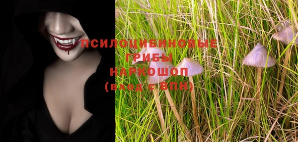 МДПВ Алексин