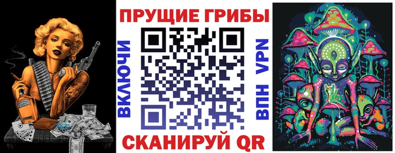 площадка какой сайт  Валдай  Псилоцибиновые грибы Psilocybe  закладка 